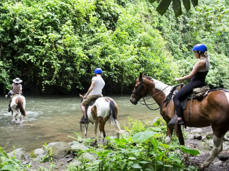 Rainforest Horseback Riding